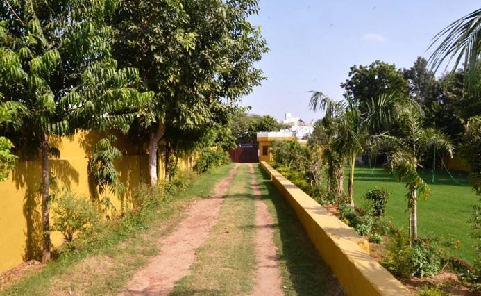 Hotel Tiger Regency Resort Sawai Madhopur Exteriér fotografie